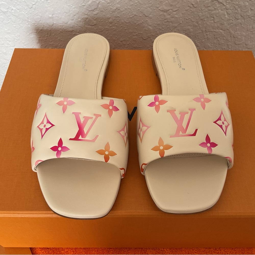 Louis Vuitton slides